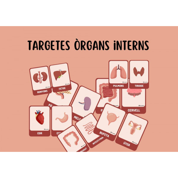 Targetes òrgans interns.
