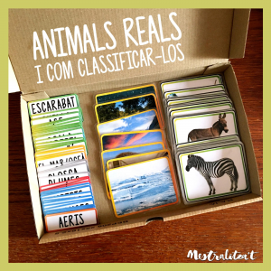 ANIMALS REALS I COM CLASSIFICAR-LOS