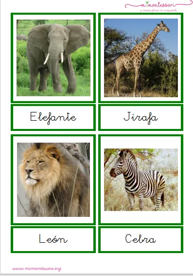 Pack de tarjetas de animales por continente