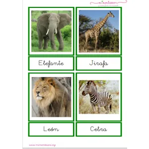 Pack de tarjetas de animales por continente