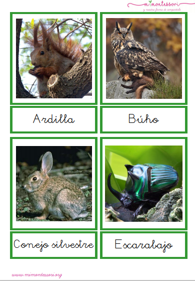 Pack de tarjetas de animales por hábitat