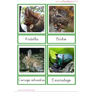 Pack de tarjetas de animales por hábitat