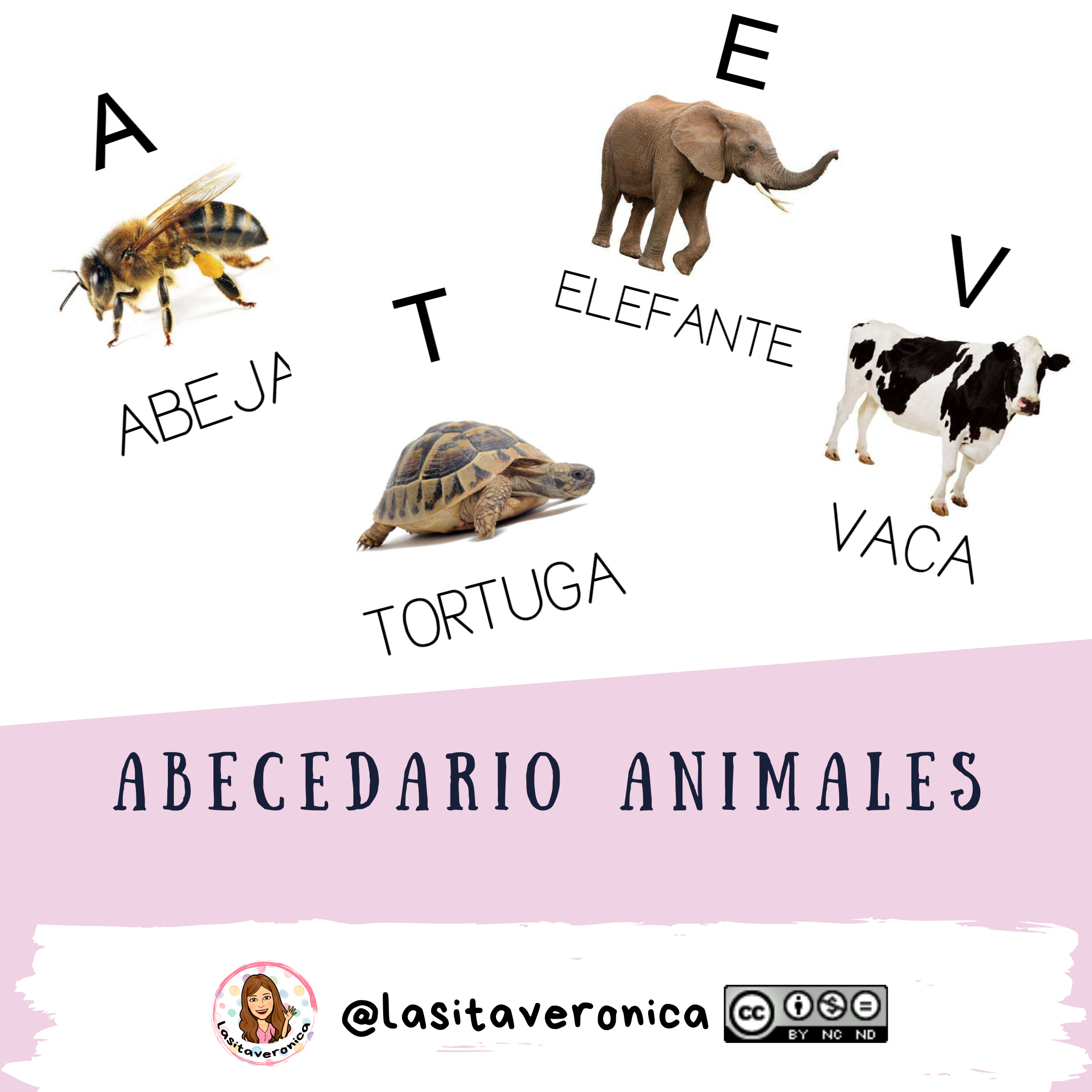 Abecedario de animales / Animal alphabet