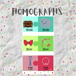 HOMOGRAPHS