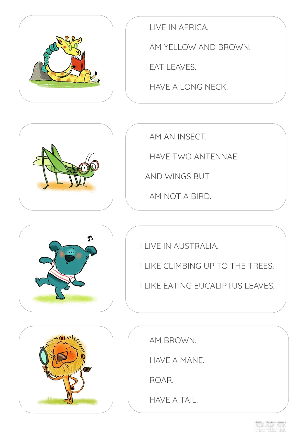 Illustrated english animal riddles