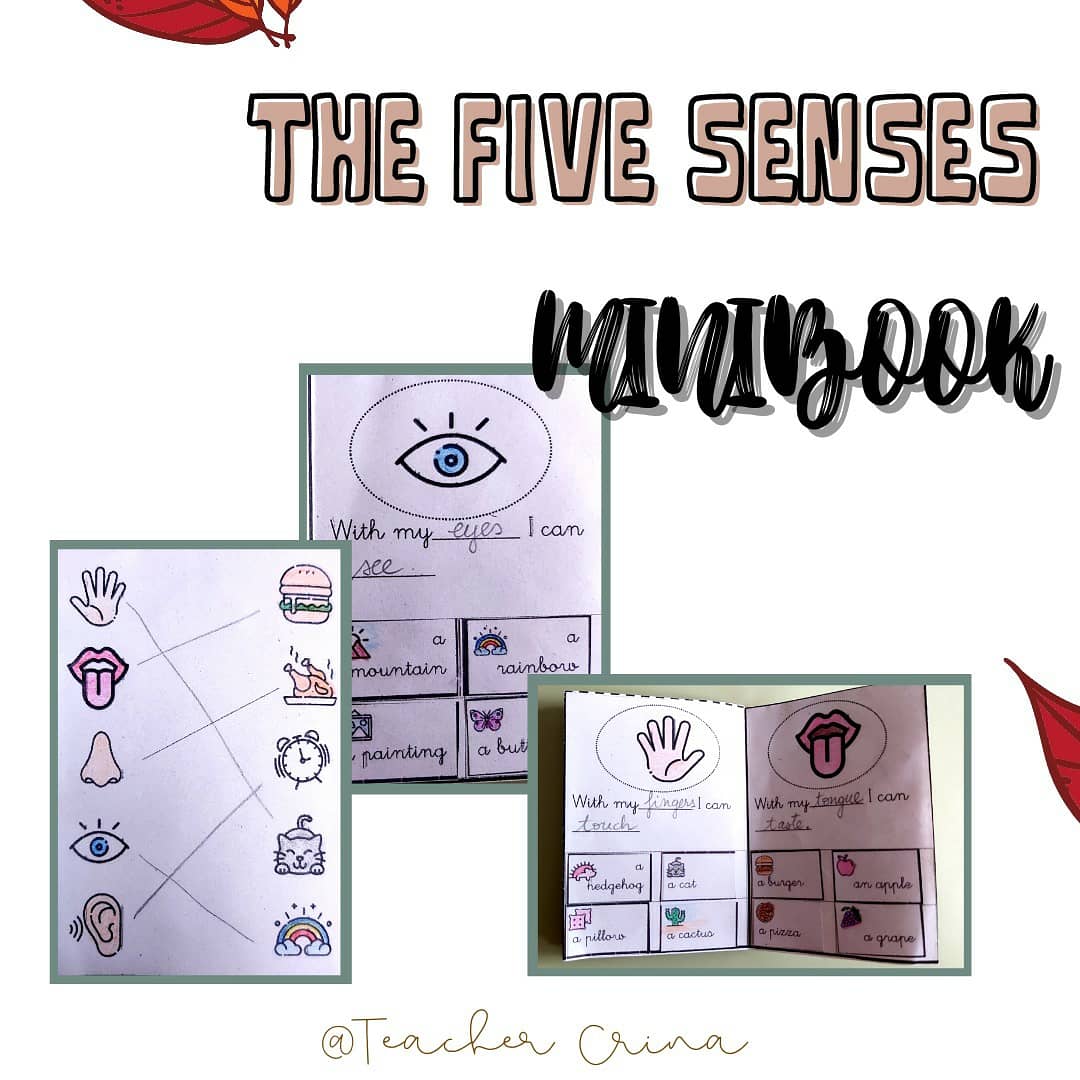 The five senses minibook