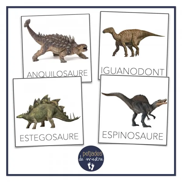 Vocabulari Dinosaures