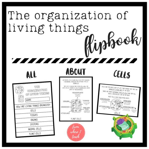 The organization of living things - CELLS FLIPBOOK EFL ESL students