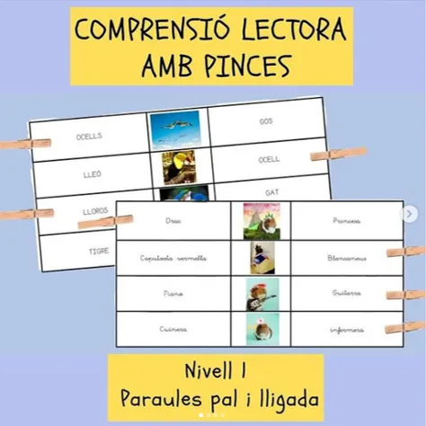 COMPRENSIÓ LECTORA AMB PINCES