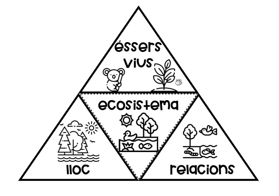 L'ecosistema