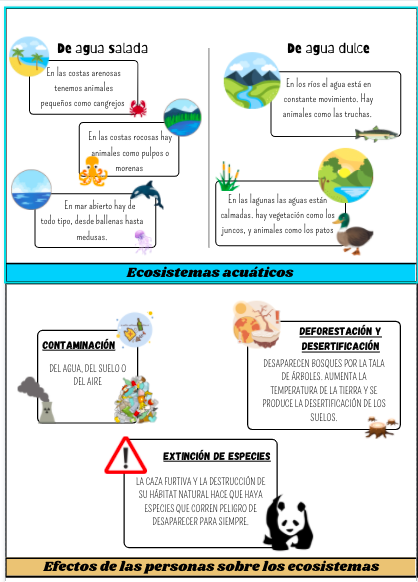 Flipbook ecosistemas