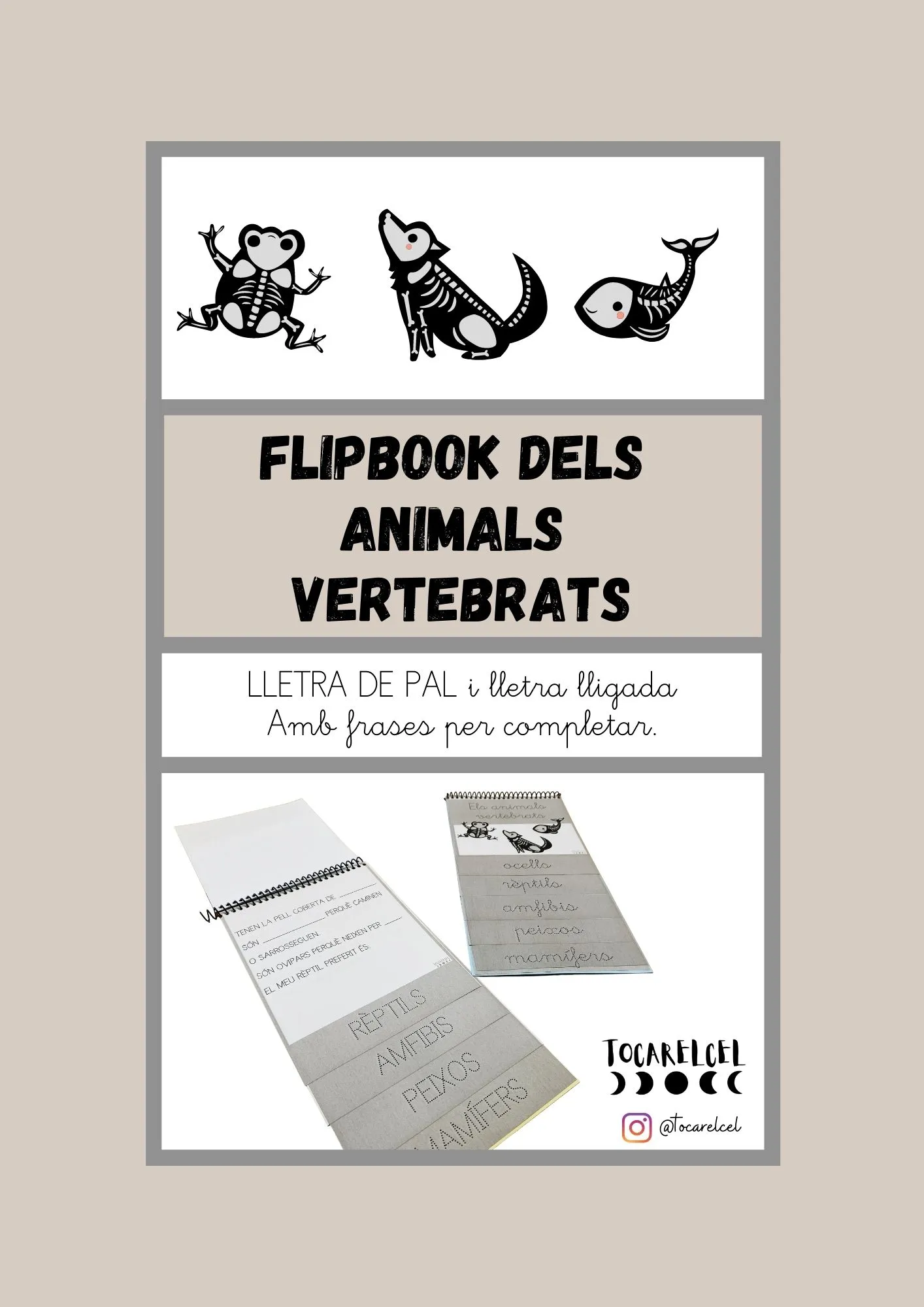 Flipbook animals vertebrats