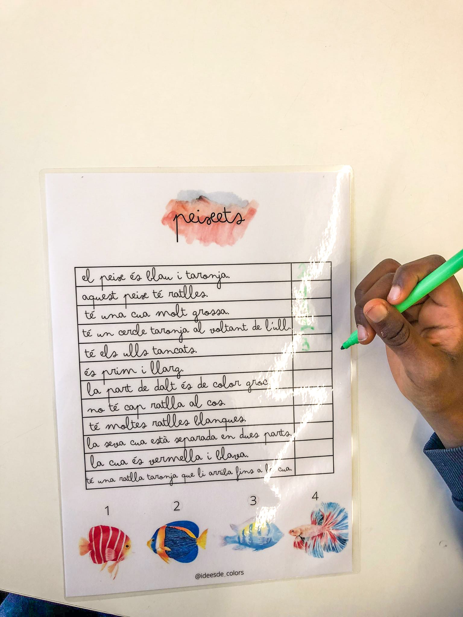 COMPRENSIONES LECTORAS NÚMEROS