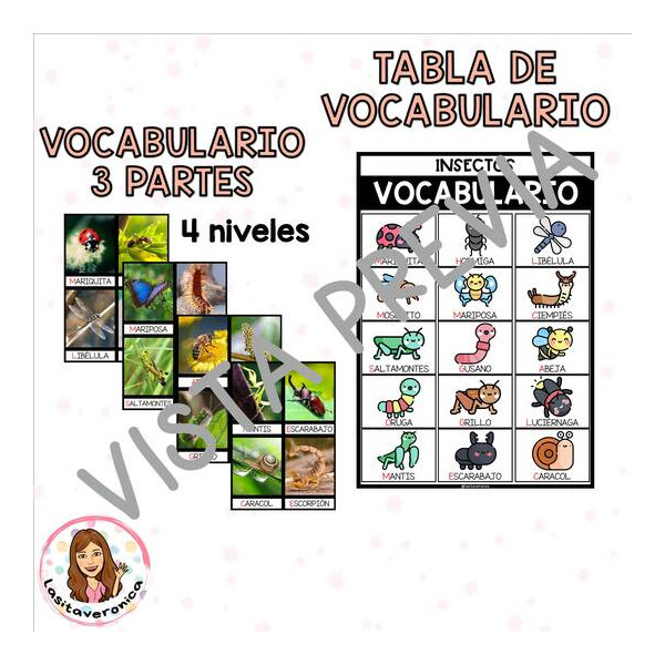 Vocabulario Insectos. Primavera.