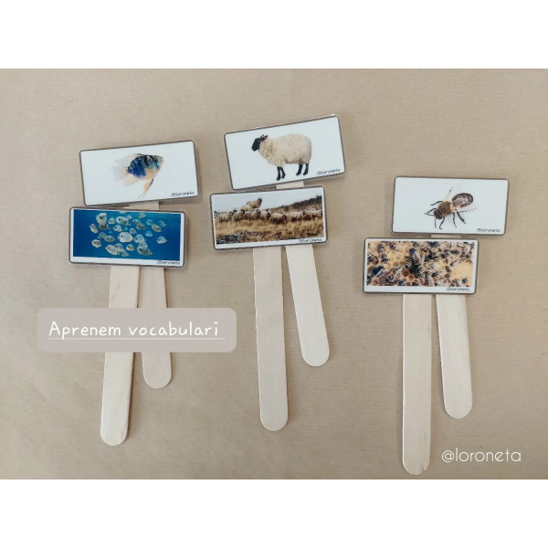 Tipus de substantius. Individuals i col·lectius.