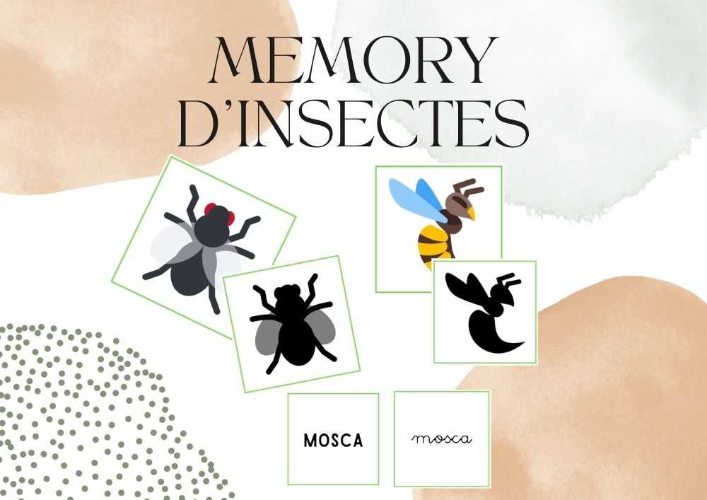 Memory d'insectes / Memory de insectos