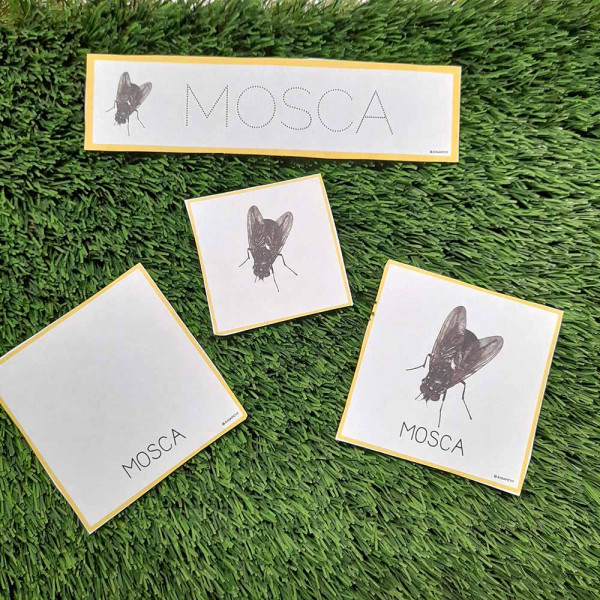 LECTOESCRIPTURA PRIMAVERA CATALÀ