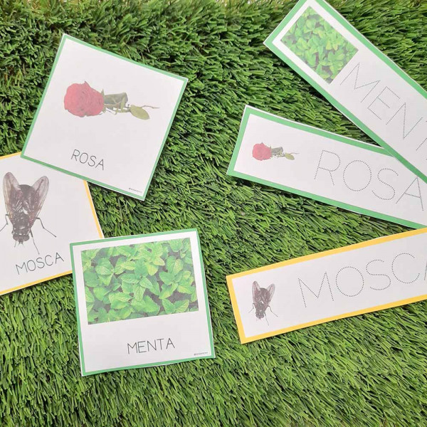 LECTOESCRIPTURA PRIMAVERA CASTELLANO