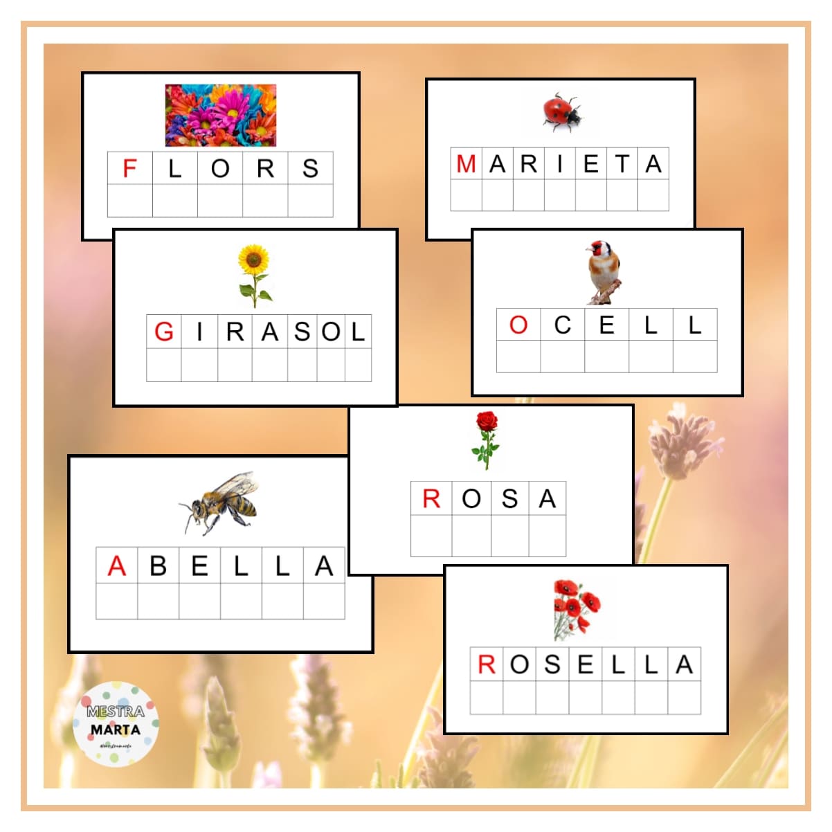 VOCABULARI PRIMAVERA- CAT/CAST