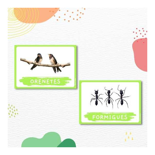 Vocabulari primavera