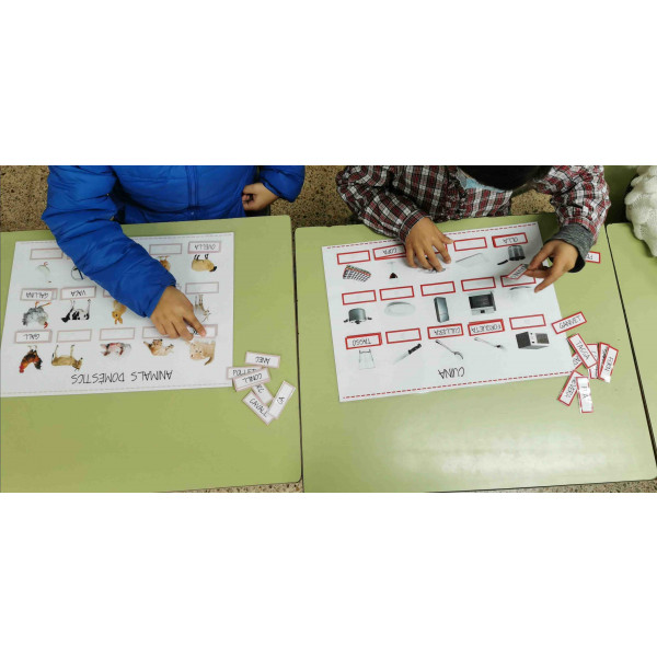 Vocabulari en català per categories