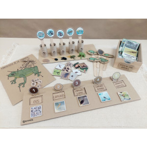 Cicle de vida de la granota.