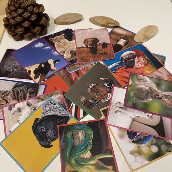 Encuentra a tu pareja