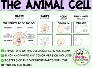 THE ANIMAL CELL: WB-COLOR-COMPLETE-BLANK RESOURCES