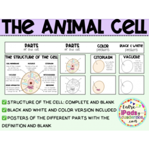 THE ANIMAL CELL: WB-COLOR-COMPLETE-BLANK RESOURCES