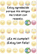 CONOCE TUS EMOCIONES: Pack de 2 sets de tarjetas