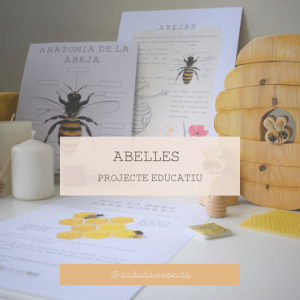 Projectes abelles