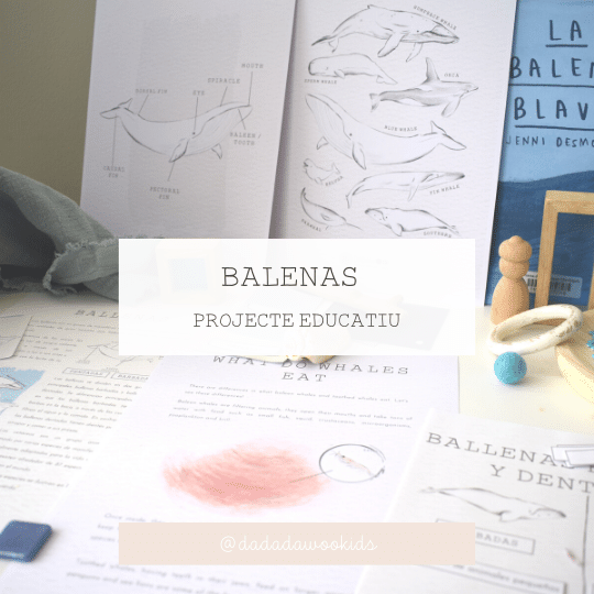 Projectes les ballenes
