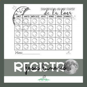 REGISTRO FASES DE LA LUNA