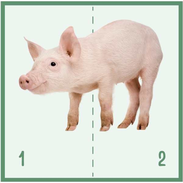 Vocabulari i puzles d'animals de granja