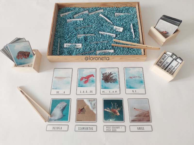 Vida en Mars i Oceans. Vocabulari i lectoescriptura.