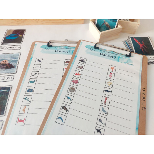 Vida en Mars i Oceans. Vocabulari i lectoescriptura.