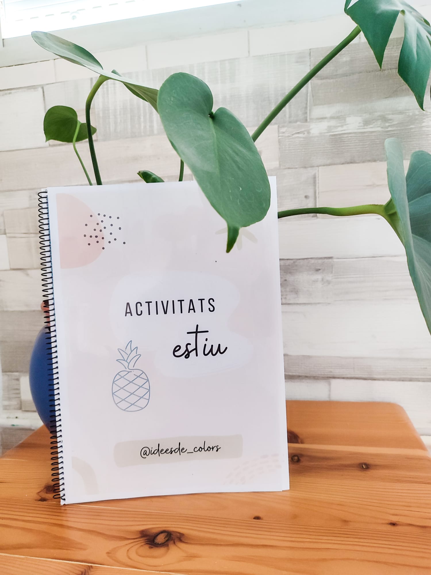 Activitats d'estiu