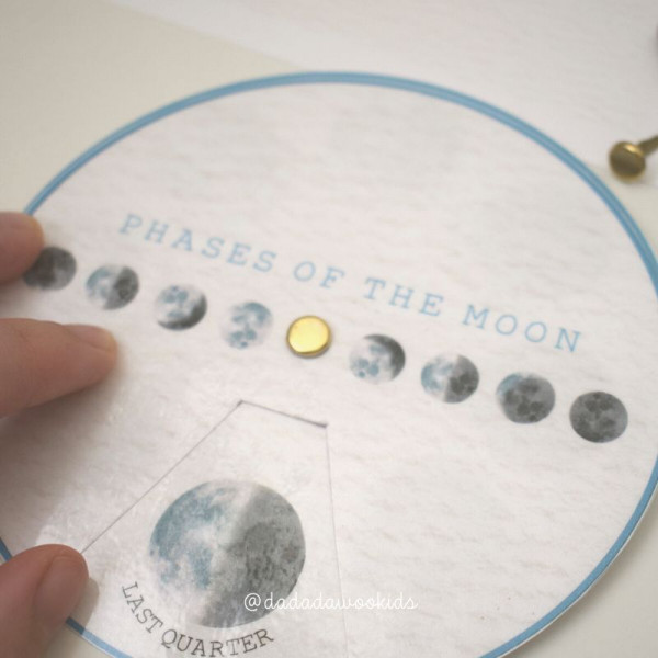 Spinner / Ruleta fases lunares