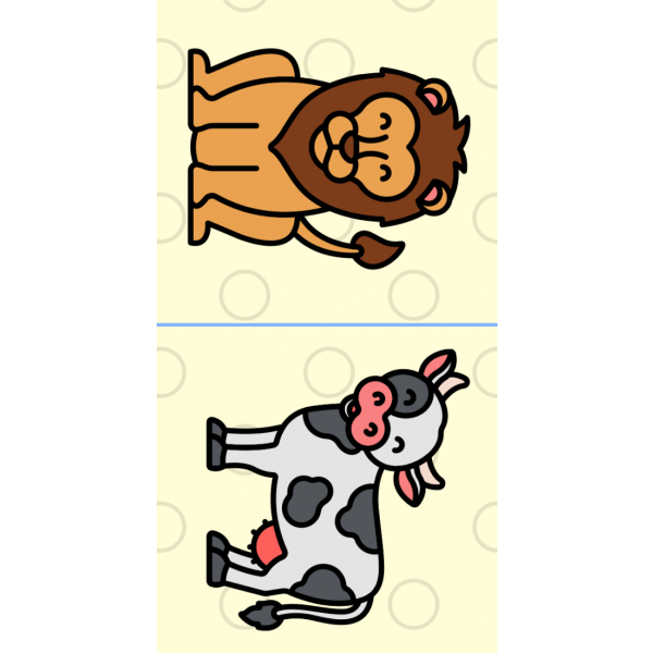 Pack of English flashcards