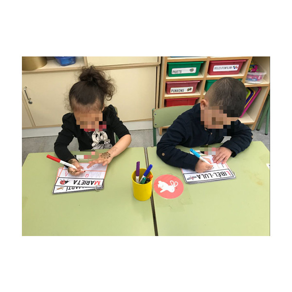 TARGETES ESCRIPTURA VOCABULARI INSECTES