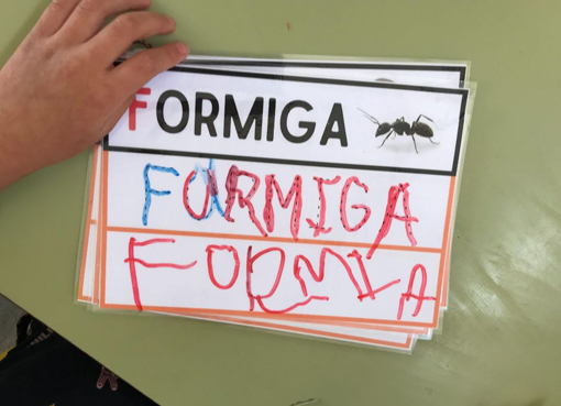 TARGETES ESCRIPTURA VOCABULARI INSECTES