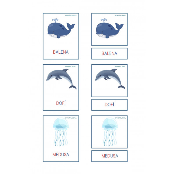 Animales del mar: lectoescritura y números