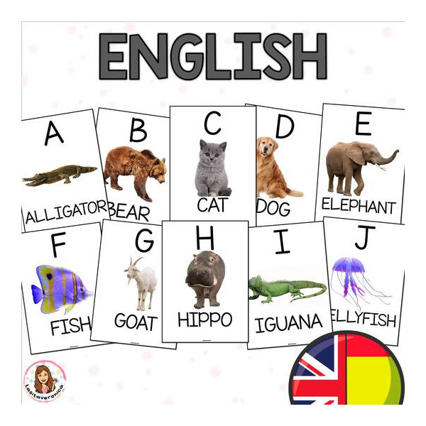 Abecedario de animales / Animal alphabet. Español e Inglés. Spanish. English