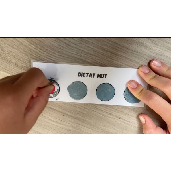 DICTAT MUT RASCA I GUANYA