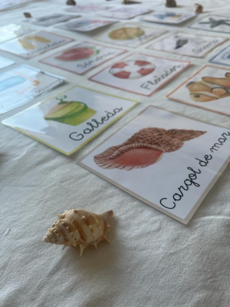 targetes vocabulari estiu