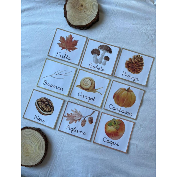 targetes vocabulari tardor lletra lligada català