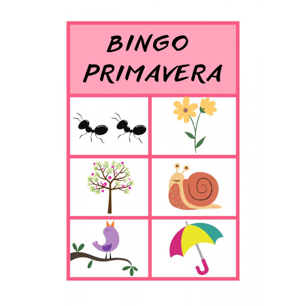 Pack de 7 Bingos