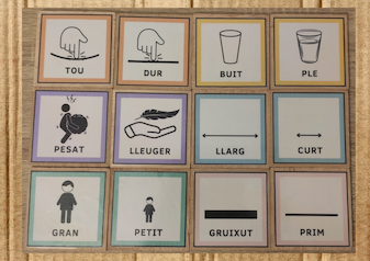 Atributs qualitatius matemàtics