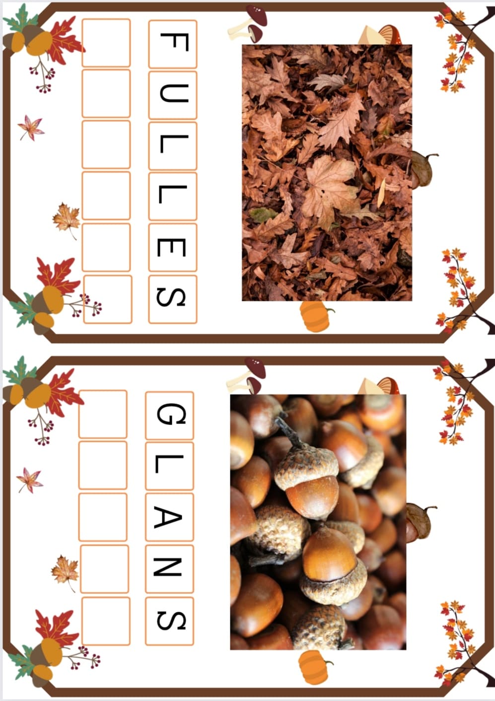 Copia les paraules Tardor