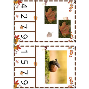 Quants n'hi ha Tardor